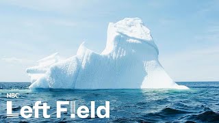 'Iceberg tourism': Newfoundland's new-found livelihood screenshot 5