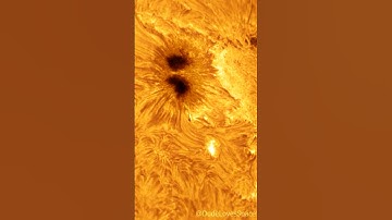 Very Big Sunspot 4079 Close Up! // Captured from My Backyard #astronomy #solarsystem #space
