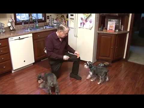 healthcare informatics Novel Device Green Lights Grandfathers Lung Transplant PKG (HD) FOR MEDIA