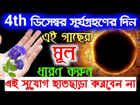 ভিডিও: ডিসেম্বর মাসে কোথায় উড়তে হবে