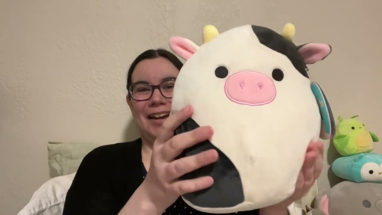 Top 10 favorite Squishmallows in my collection