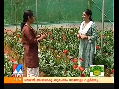 Manorama Vanitha - Interview with Maria Biju (Leav...