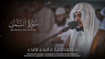 الشيخ هيثم الدخين   تلاوة بديعة لسورة النمل كاملة🤎