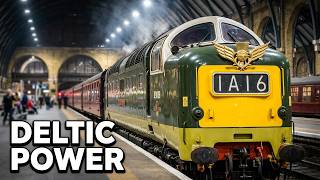 Deltic Power! Flying Scotsman Departure from Kings Cross with Gold Wings #kingscross #deltic #fyp