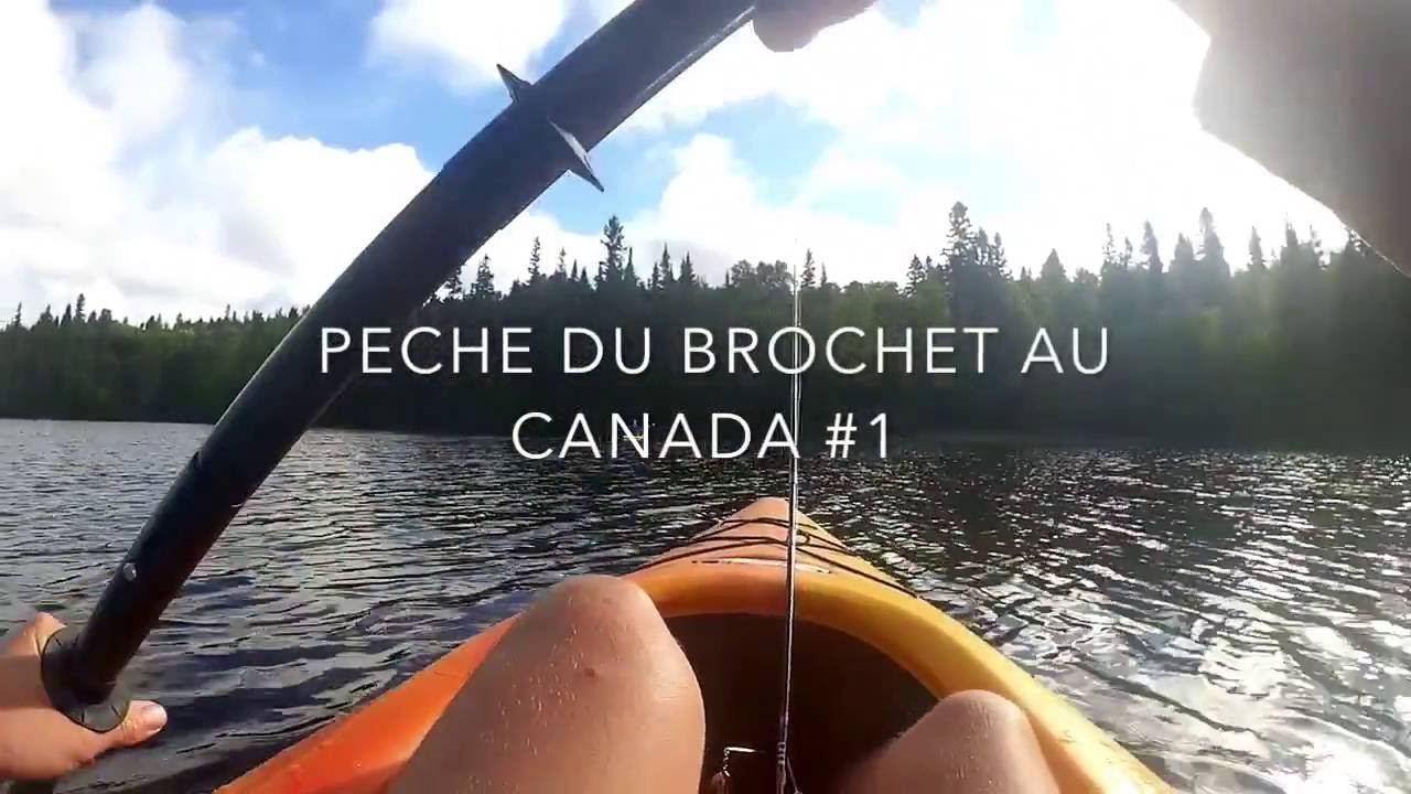 Pêche du brochet aux leurres au Canada 1 YouTube