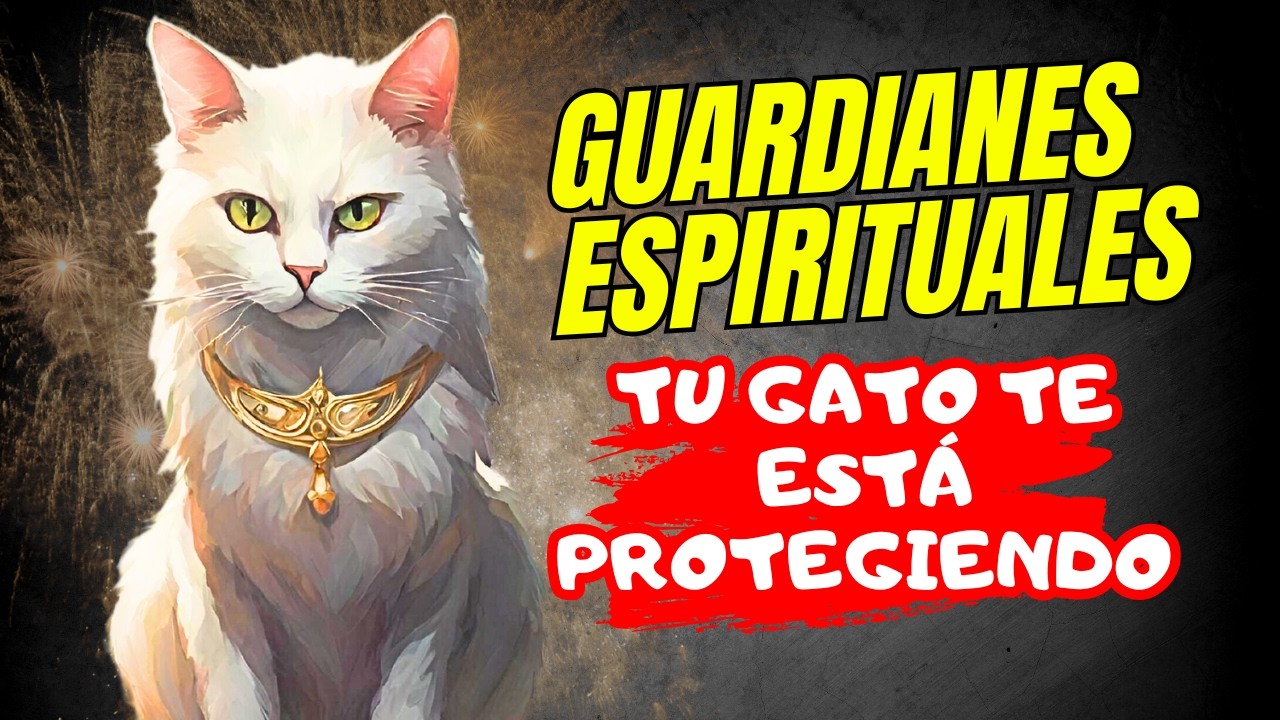 Tu Gato Tiene una Misión Divina | Documental Completo sobre la Espiritualidad de los Gatos