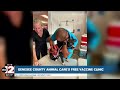 Free dog vaccines draw big crowd at Genesee County shelter