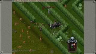 Ultima Online - Let's Get It Started - UO Shadow Age
