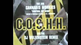 Cannabis Monkies - Control My Mind (Dj Wolfenstein Remix)