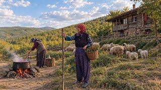 Türkiyede Köy Hayatı. Dağlarda Geleneksel Yaşam - Köy Belgeseli