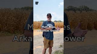 South Arkansas grower uses Pivot Bio as part of his farms fertility program