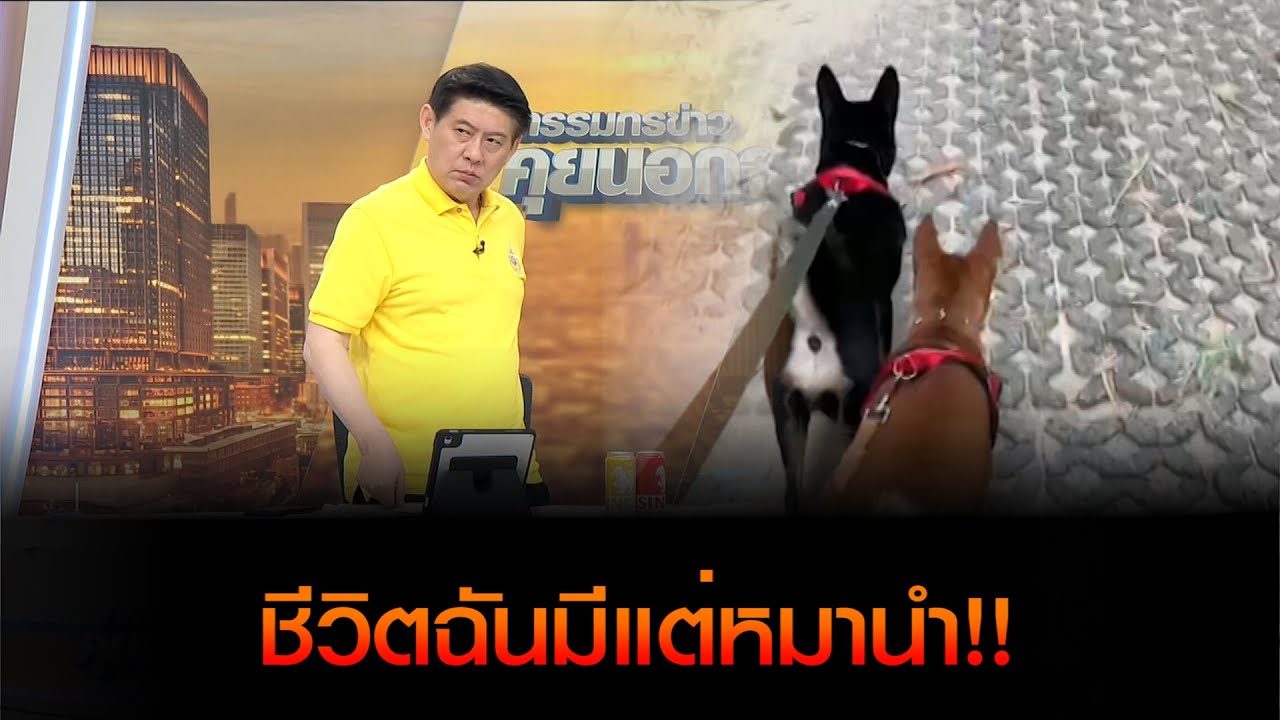 ชีวิตฉันมีแต่หมานำ!! ชบา-สะเดา