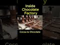 Cocoa to Chocolate Inside Chocolate Factory