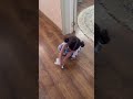 #keşfet #baby #shorts #funny #ytdayibenionecikarnolur #youtubeshorts