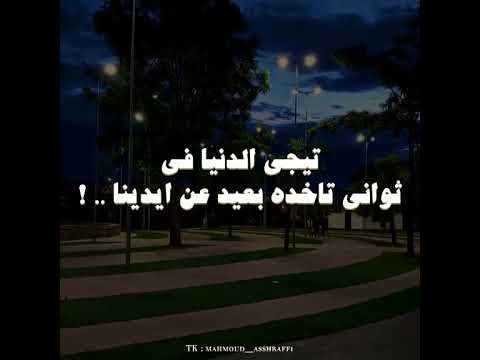 مشافش الدنيا غير جمبى و يوم ما كسر كسر قلبى