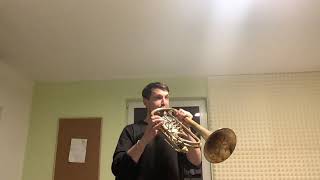 Download Lagu Bugler‘s Holiday on Bass Trumpet MP3