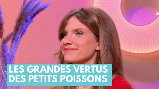 Les grandes vertus des petits poissons - La Maison des maternelles #LMDM