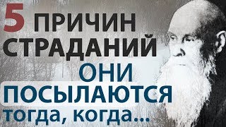 Страдания Кончаются Тогда, Когда... Избавляемся! Пестов Н