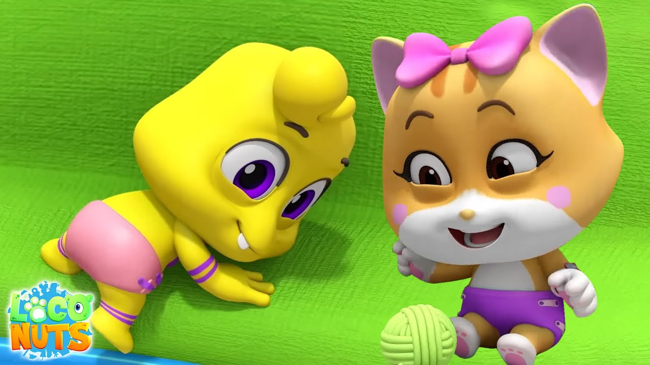 ⁣Loco Nuts Babá Vídeos Educativos e Animados Para Crianças