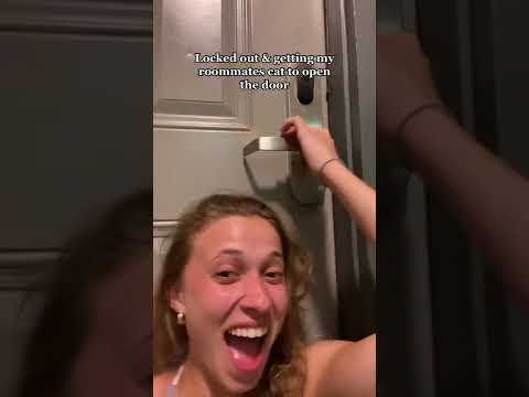 Cat opens door for locked out roommate