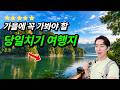 10월, 11월에 무조건 가야 하는 가을 여행지! 충청도 트레킹 코스🍁 1부