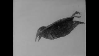 Akuma Kun [1966]- Bake Garasu Scene pack