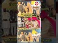पोलिसांचा शिवबा राजे छत्रपती झाल ग गाण्यावर जल्लोष #raigadpolice #shivajimaharaj #shorts #shortvideo