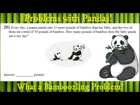 Solving 2019 Noetic #20 for 2nd grade! A Panda Problem!