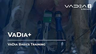VaDia+ Analysis | VaDia Basics Training screenshot 2