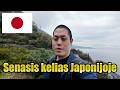 Gražus vaizdas iš senojo kelio prie Fudži kalno :Kelionė įprastu traukiniu po Japoniją 2