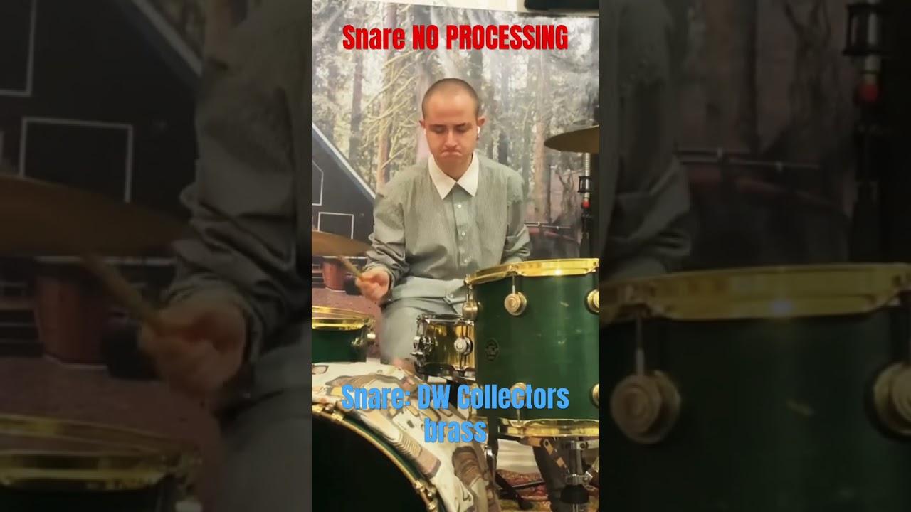 DW Collectors brass 3 #drums #drummer #melody #drumcover #music #1990s #drumming #snares #punk