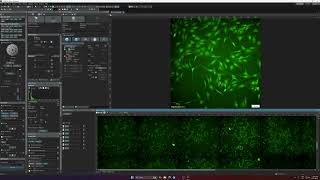 4. Olympus IX85 Spinning Disk: Stage Navigator and Tile Scanning