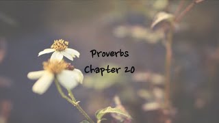 Proverbs 20 - NIV | AUDIO BIBLE & TEXT