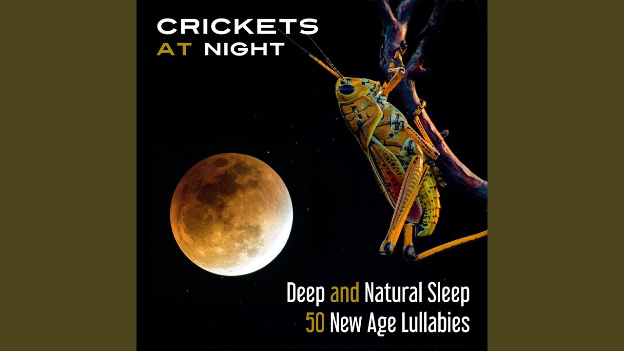 Watch Tranquility REM Deep Sleep on YouTube Watch Tranquility REM Deep Sleep on YouTube