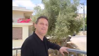 סמיר יסין בעיד ענאק
