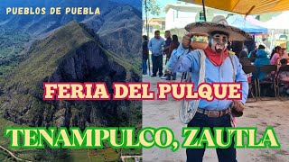 EN ESTE LUGAR EL PULQUE ES COMO UNA RELIGIÓN | TENAMPULCO, ZAUTLA 