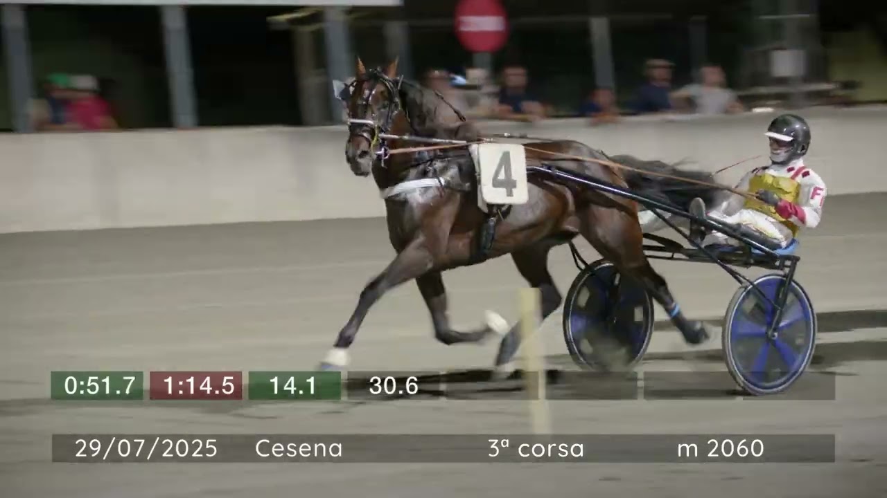 2025 07 29 | Corsa 3 | Metri 2060 | Premio Caciotta Romagnola Cesena - Tomaso Grassi Award 2025