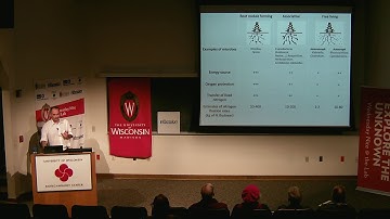 WN@TL - Aerial Roots of Mexican Corn Can Host Nitrogen-Fixing Bacteria. Jean-Michel Ane. 2018.10.24