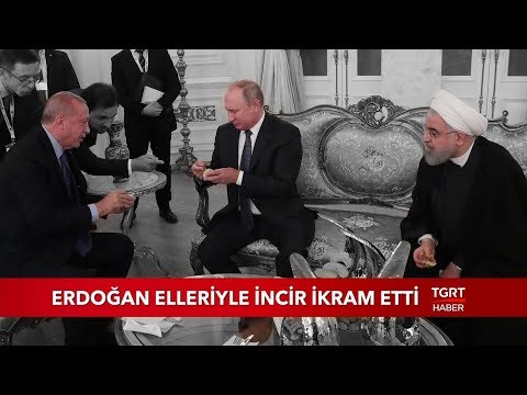 Cumhurbaşkanı Erdoğan Putin'e İncir İkram Etti