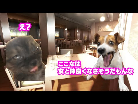 【猫ミーム】ノンデリお兄ちゃんに友達いないと言われるここな【#ストグラ】【牧田ここな/たここ/シャンクズ/ファン太】