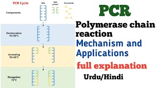 Polymerase Chain Reaction PCR and its applications IN Urdu Hindi By Dr Hadi screenshot 2