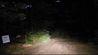 Four USFS Forest Routes at Night | 77-1333-55-221