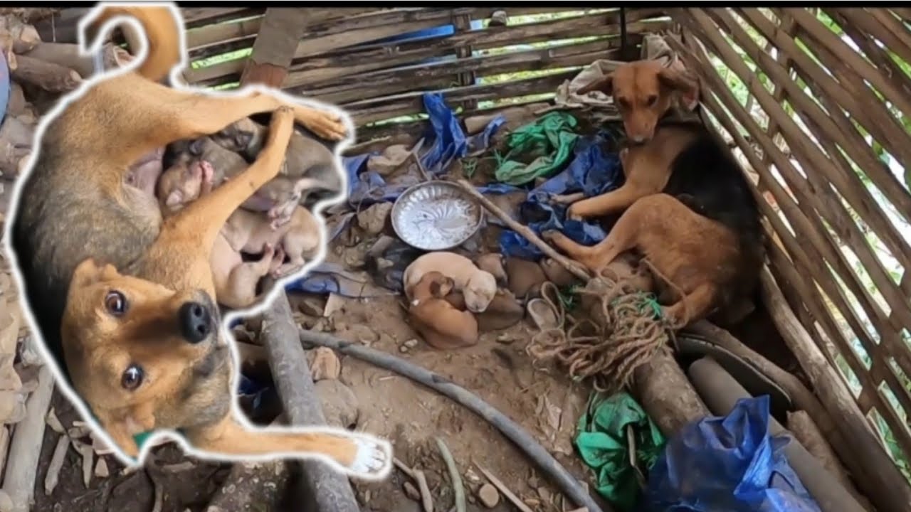 ठूलो सानो बैनीहरु आमा भईन्||Random Vlog||Vote For Aryan Tamang||Rj Sagar