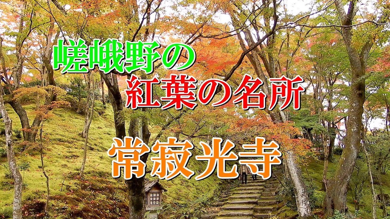 風景画「紅葉の常寂光寺Ⅱ」油彩画 F10 京都・嵯峨野 張りキャンバス・額なし 風景画「紅葉の常寂光寺Ⅱ」油彩画 F10 京都・嵯峨野 張り
