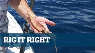 Dolphin Fishing Tips - Florida Sport Fishing TV - Here's How I Like To Rig Squid