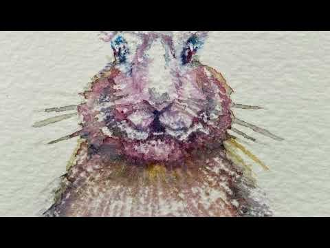 I have all the courage I need