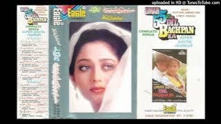 Kitna Pyar Tumhe Karte Hain Eagle Jhankar