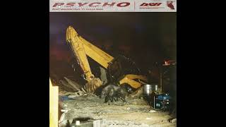 Post Malone - Psycho Feat. Ty Dolla Ign Acapella Almost Studio Quality