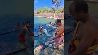 ବାହାରିଲେ ନନ୍ଦା , ଭଦ୍ରା ଚାପ ଖେଳିବାକୁ #odishastories