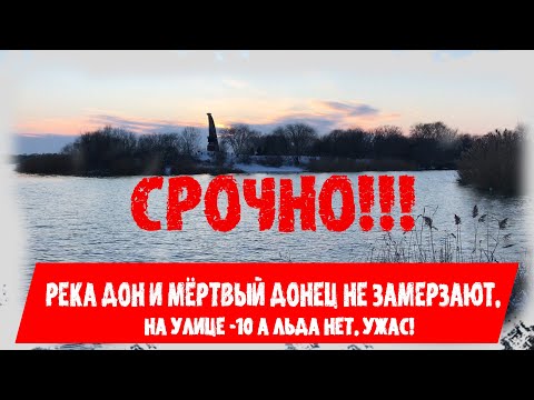 Срочно! 16 января